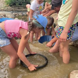 A Borriana piccoli cercatori d’oro crescono - Foto pagina FB SPORTYVITA A Borriana piccoli cercatori d’oro crescono - Foto pagina FB SPORTYVITA