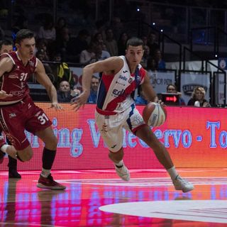 bortolani basket
