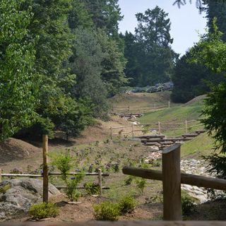 Ex trattoria della Burcina verso il rilancio: due offerte per la concessione