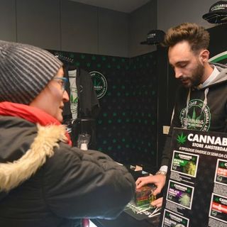 cannabis