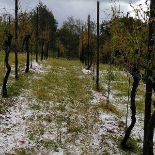 regione anti grandine