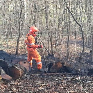 Foto Mauro Benedetti