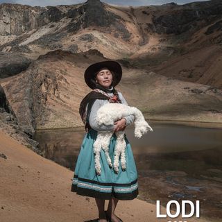 Fondazione CRB, con il Bando Cultura+  oltre 112 mila euro per gli eventi - Foto Fondazione CRB