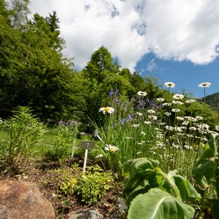 Obiettivo Sabato al Giardino Botanico di Oropa: oltre 500 specie e varietà di piante.
