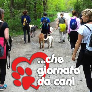 Foto Andirivieni Foto Andirivieni