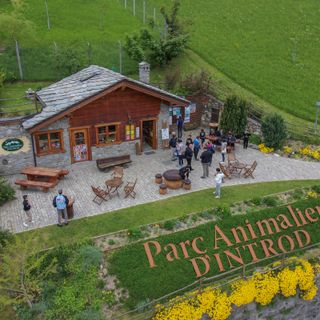 Parc Animalier d’Introd in Valle d'Aosta: la natura alpina a un passo dal Biellese