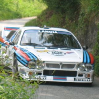 Foto Stefano Negrini