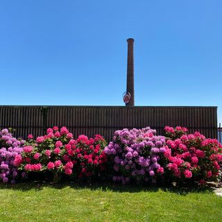 Pronti a ripartire per i prossimi 110 anni. Riapre Casa Zegna con l'evento "Bentornata Italia"