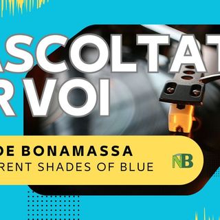 Riascoltati per voi: Joe Bonamassa - Different Shades of Blue (2014)