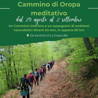Richiamo del bosco: un percorso meditativo sul cammino di Oropa.