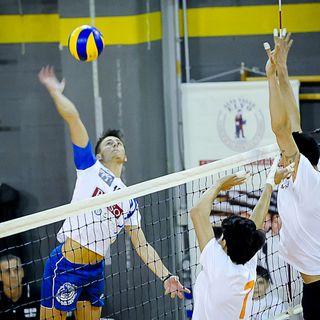 Una schiacciata di Ricino (Foto Corrado Sartini)