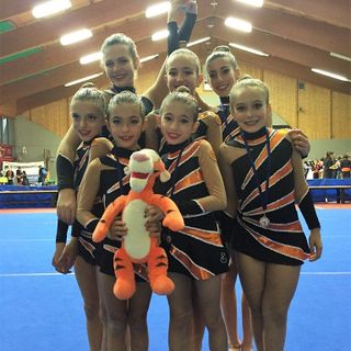 Le ginnaste di Eurogymnica