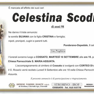 Celestina Scodro