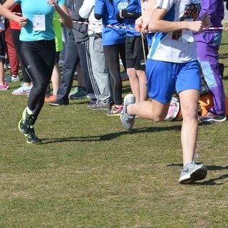 Corsa campestre, scuole secondarie di I° e II° grado di Biella, i risultati