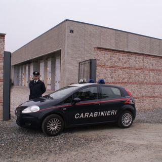 “Una lugubre catena di montaggio della morte, a fini di lucro” FOTO