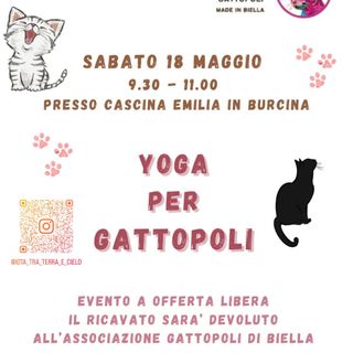Yoga per Gattopoli: in Burcina l’evento benefico a sostegno degli animali.
