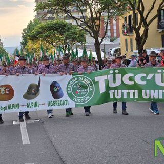 adunata alpini