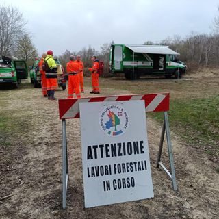 Esercitazione provinciale AIB a Biella: ripristino della viabilità forestale in Baraggia