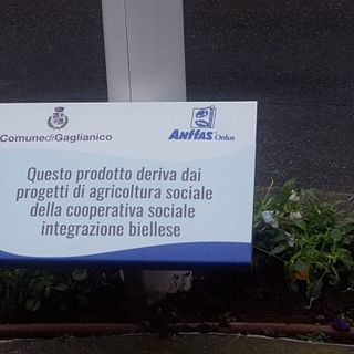 aiuole gaglianico aiuole gaglianico