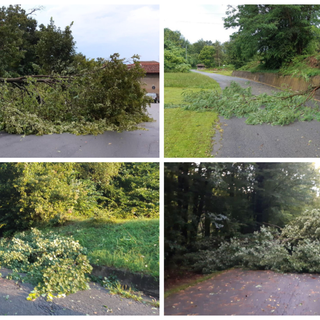 Maltempo nel Biellese: la protezione Civile interviene a Mongrando FOTO.