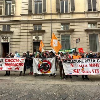 “Basta regali ai cacciatori”: sit-in ambientalista a Torino contro la caccia a due specie in via d’estinzione
