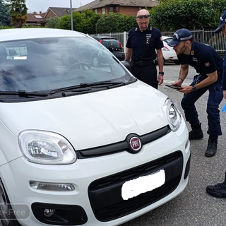 biella pedone biella pedone