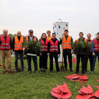 avis ospedale avis ospedale