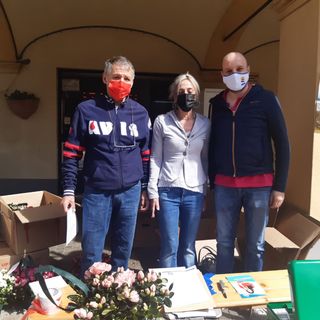 avis coggiola avis coggiola