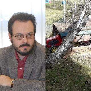 albero caduto cossato barbierato albero caduto cossato barbierato