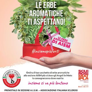 Foto AISM Biella