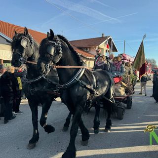Torna la Festa di Sant'Antonio Abate a Vigliano, il Priore Marco Alfonso: "Vi aspetto tutti" VIDEO