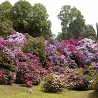 Letture ad alta voce in Burcina