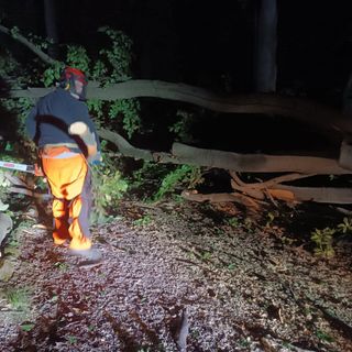 Pollone: Tromba d'aria in Burcina abbatte diversi grossi alberi. AIB al lavoro sino a notte inoltrata FOTO