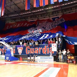 pallacanestro biella