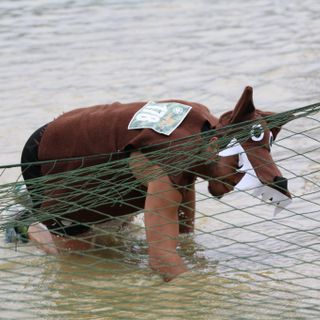 Evento Boot Camp - Sabato all'Alba Marina la "Mia Camp Race"