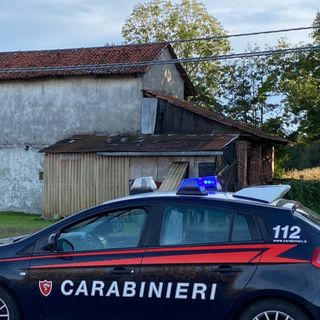 Furto di legna da ardere e ortaggi, quattro giovani nei guai