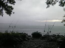 Carpfishing sul lago di Viverone: c'è un regolamento