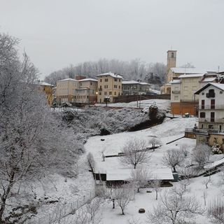 neve biellese