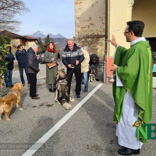 Casapinta: Si è celebrato Sant'Antonio con la benedizione di animali e mezzi - Foto Ciccarelli per newsbiella.it