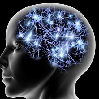 I ricercatori di Unito scoprono dove si annida nel cervello il meccanismo che produce paura e ansia