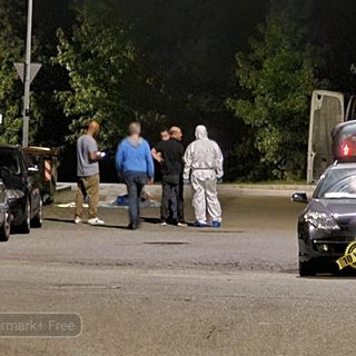 Cadavere ritrovato in un cassonetto di Regione Croce - Foto Benedetti per newsbiella.it