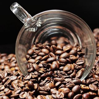 Il caffè biologico: come si coltiva, chi lo certifica e perché acquistarlo!
