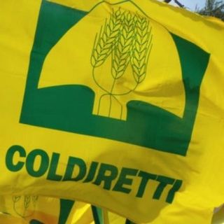 Coldiretti, clima: necessario un tavolo di confronto regionale per gestione risorse idriche