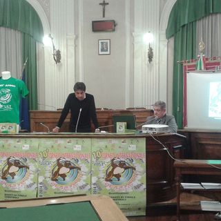 Fra pochi giorni il via al Bear Wool Volley 2014