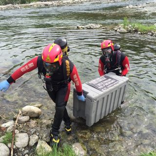 Chiavazza: Pompieri recuperano la carcassa di un cane FOTOGALLERY