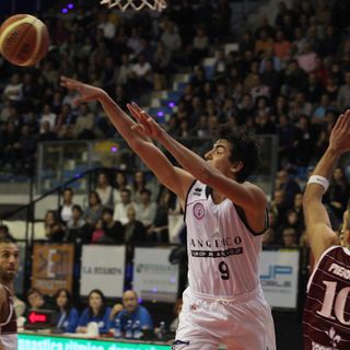 Basket - La sfida tra Angelico e Capo D'Orlando in cifre