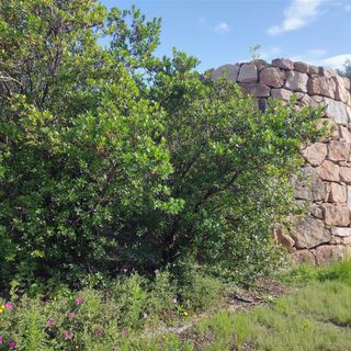 Biella,“Nuraghe Chervu” in fiore tra lidone/corbezzolo e mudeju/cisto.