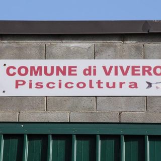 Viverone: via libera alla pesca dei coregoni fino a fine gennaio