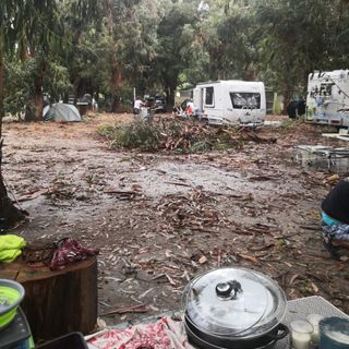 Famiglia biellese sotto l'uragano in Corsica: Siamo miracolati, l'uragano ha provocato morti e feriti FOTO