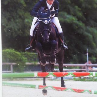 Edoardo Barbieri in sella al suo Pannocchia vince la gara di salto a Pallarè